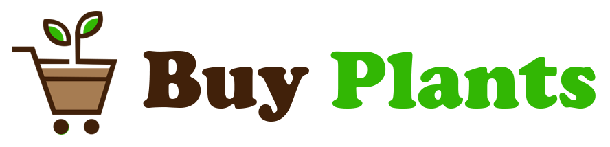 Buy Plants